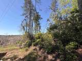 309 Knox Creek Road - Photo 5