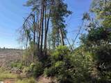 309 Knox Creek Road - Photo 7