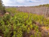 011 Mill Pine Road - Photo 6