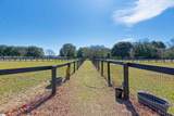 1240,1241,1242 Audubon Drive - Photo 39