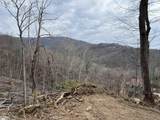 39 Panther Park Trail - Photo 5