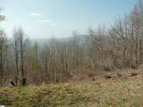 3605 Skyuka Mountain Road - Photo 49