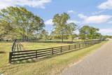 121 Capeview Lane - Photo 43