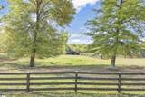 121 Capeview Lane - Photo 46