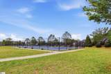 421 Yellow Fox Road - Photo 46