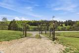 3015 Pumpkintown Highway - Photo 8
