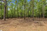 207 Elijah Simmons Road - Photo 44