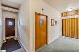 203 Weston Street - Photo 17