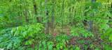 00 Lynden Loop - Photo 4