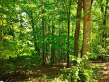 426 Pin Du Lac Drive - Photo 10
