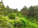 3170 Highway 20 - Photo 19