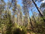 3170 Highway 20 - Photo 21