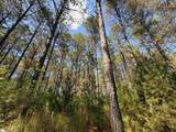 3172 Highway 20 - Photo 22