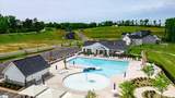 1264 Balsa Tree Drive - Photo 42