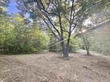 00 Old Greenville Highway - Photo 3