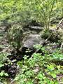 00 Needle Cragg Road - Photo 10