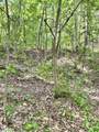 00 Needle Cragg Road - Photo 11