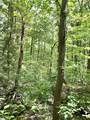 00 Needle Cragg Road - Photo 5