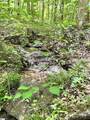 00 Needle Cragg Road - Photo 6