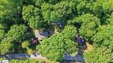 177 Old Pelzer Road - Photo 6