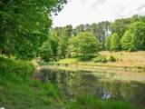 1610 Cannon Bottom Road - Photo 8