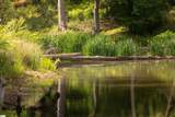 1610 Cannon Bottom Road - Photo 9