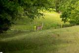 1610 Cannon Bottom Road - Photo 12