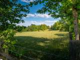 1610 Cannon Bottom Road - Photo 9