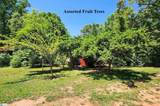 227 Jenny Lane - Photo 17