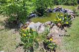 227 Jenny Lane - Photo 24