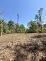 0 Thompson Road - Photo 19