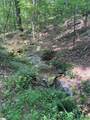 472 Knickerbocker Estate Road - Photo 20
