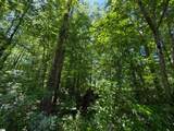 165 Tabor Street - Photo 3