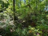 165 Tabor Street - Photo 5