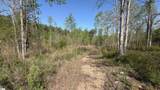 2125 Hwy 247 - Photo 9