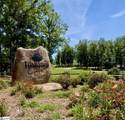 161 Meadow Park Drive - Photo 47