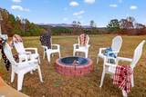 517 Cub Creek Road - Photo 33