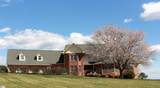 517 Cub Creek Road - Photo 41