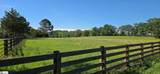608 Five Forks Road - Photo 6