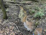 00 Nimmons Bridge Road - Photo 10