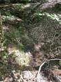 00 Nimmons Bridge Road - Photo 12
