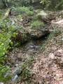 00 Nimmons Bridge Road - Photo 13
