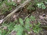 00 Nimmons Bridge Road - Photo 15