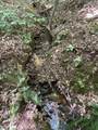 00 Nimmons Bridge Road - Photo 16