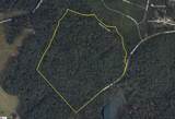 0 Old Mill Road - Photo 1