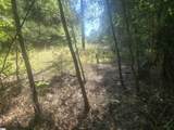 12.3 acres 243 Highway - Photo 10