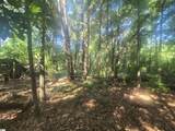 12.3 acres 243 Highway - Photo 6