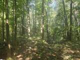 12.3 acres 243 Highway - Photo 8
