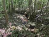  Old Calhoun Falls Road - Photo 9