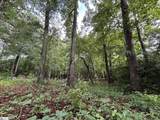 3009 Kemet Way - Photo 9